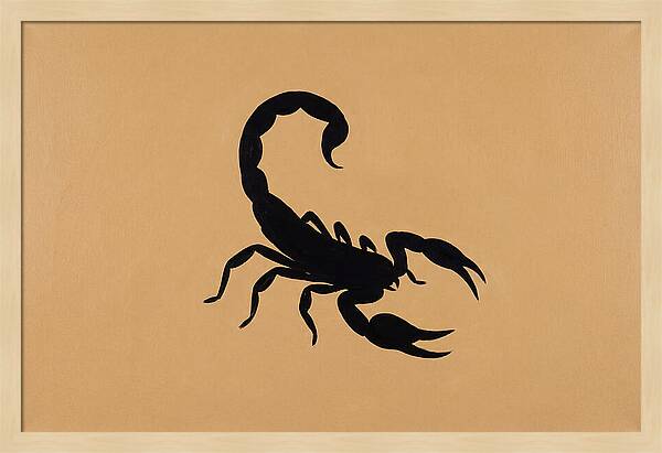 Scorpion Silhouette On Warm Background