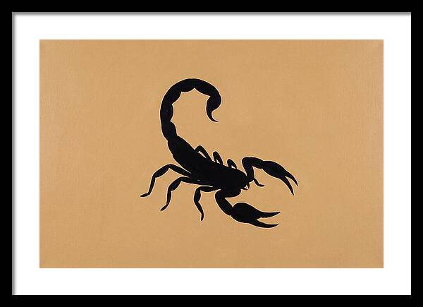 Scorpion Silhouette On Warm Background