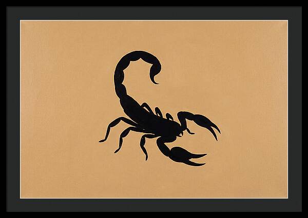 Scorpion Silhouette On Warm Background