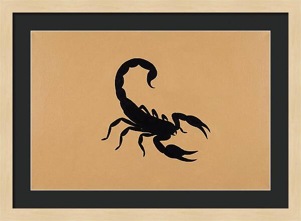Scorpion Silhouette On Warm Background