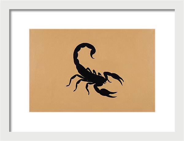 Scorpion Silhouette On Warm Background