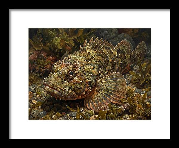 Scorpionfish Among Seaweed