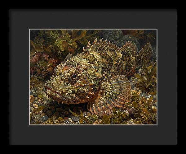 Scorpionfish Among Seaweed