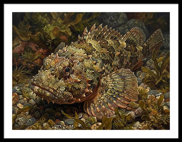 Scorpionfish Among Seaweed