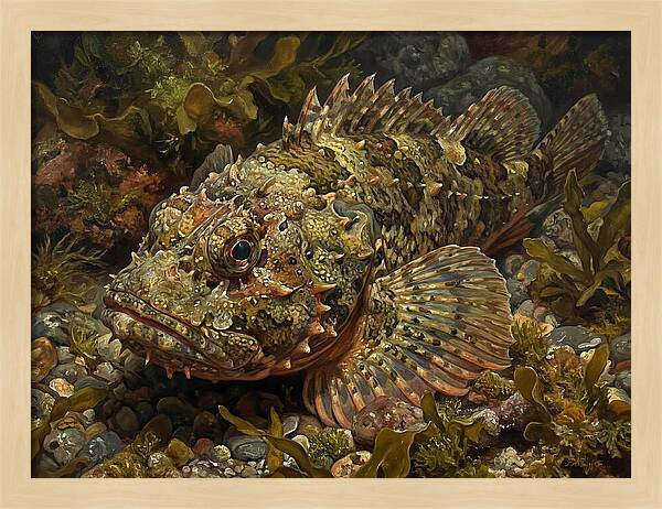 Scorpionfish Among Seaweed