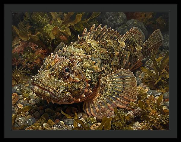 Scorpionfish Among Seaweed