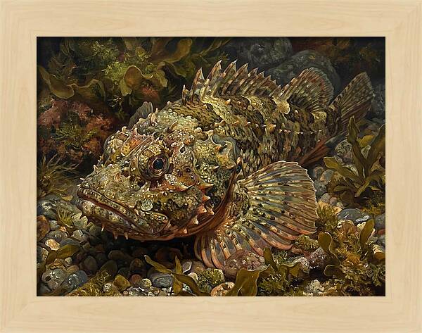 Scorpionfish Among Seaweed