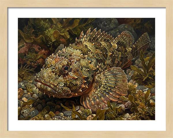 Scorpionfish Among Seaweed