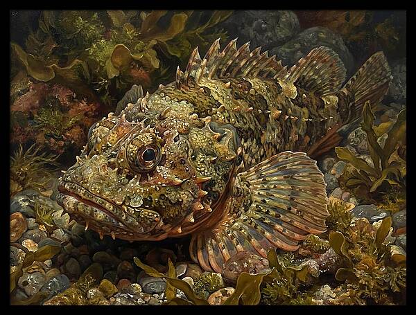 Scorpionfish Among Seaweed