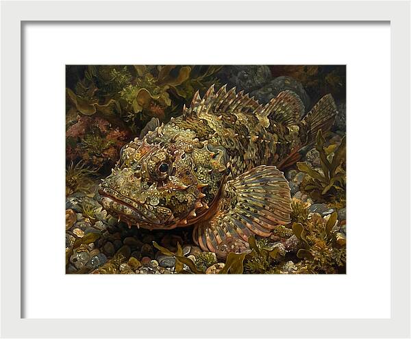 Scorpionfish Among Seaweed