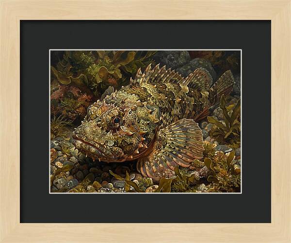 Scorpionfish Among Seaweed