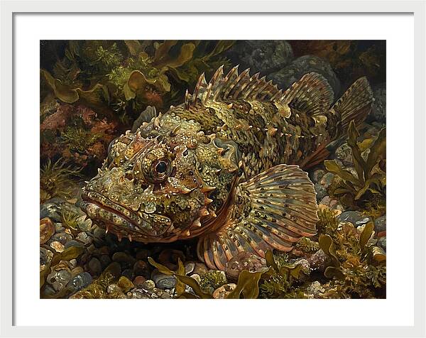 Scorpionfish Among Seaweed