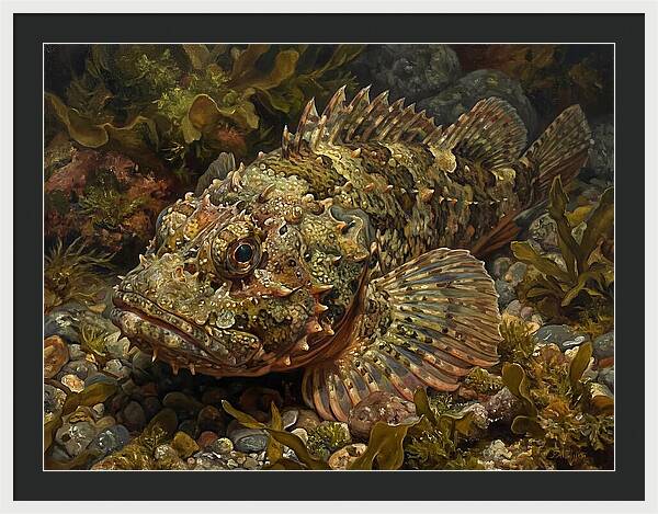 Scorpionfish Among Seaweed