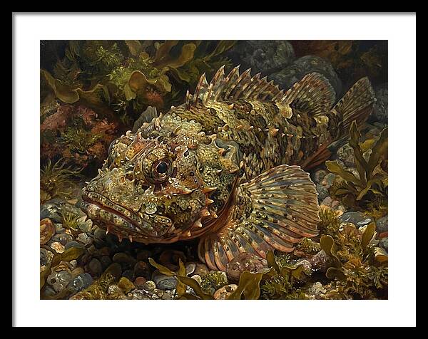 Scorpionfish Among Seaweed