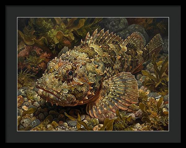 Scorpionfish Among Seaweed