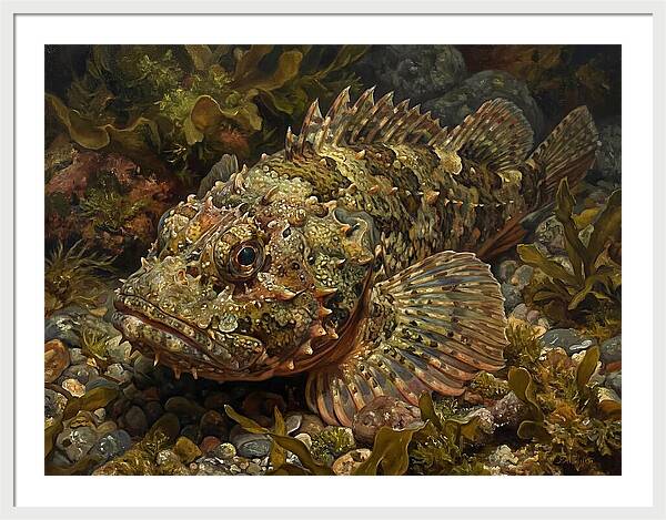 Scorpionfish Among Seaweed