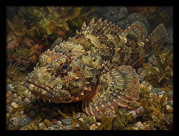 Scorpionfish Among Seaweed