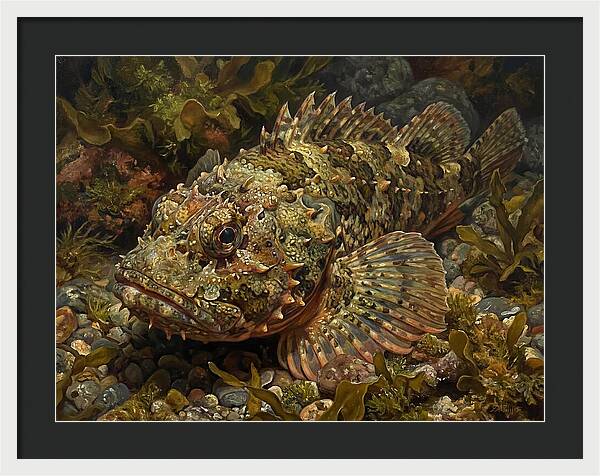 Scorpionfish Among Seaweed