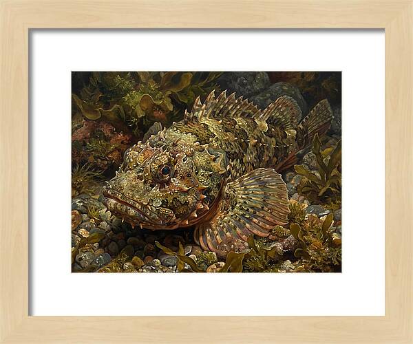 Scorpionfish Among Seaweed