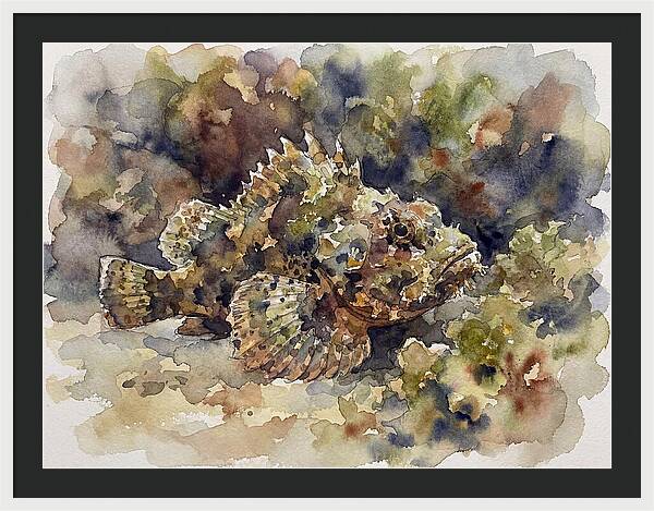 Scorpionfish In Watercolor