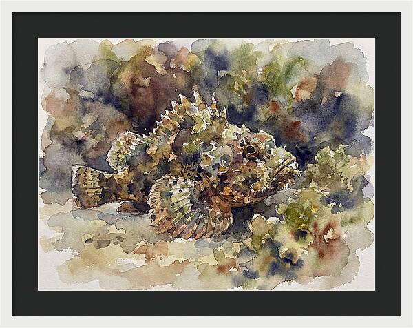 Scorpionfish In Watercolor