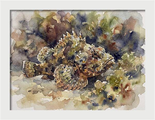 Scorpionfish In Watercolor