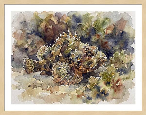 Scorpionfish In Watercolor