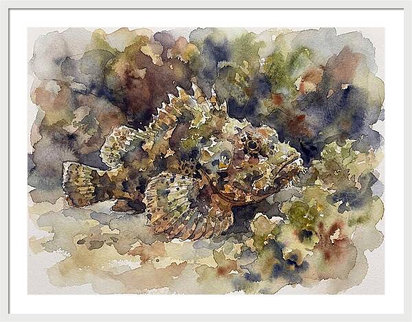 Scorpionfish In Watercolor
