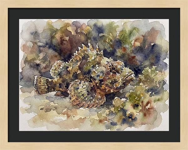 Scorpionfish In Watercolor