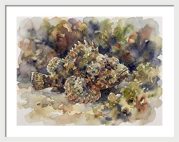 Scorpionfish In Watercolor
