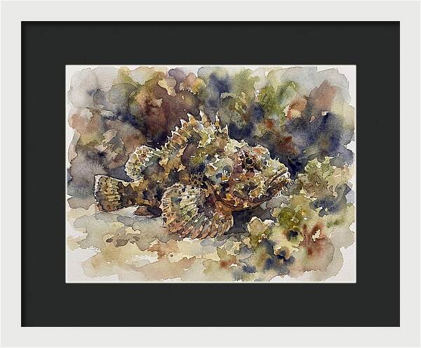 Scorpionfish In Watercolor