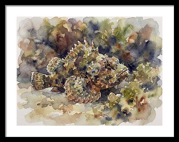 Scorpionfish In Watercolor
