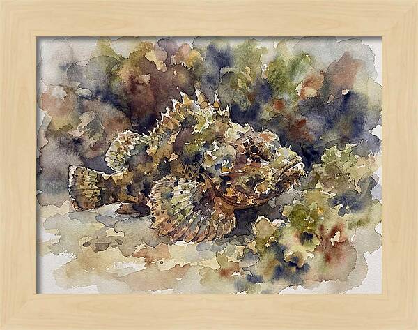 Scorpionfish In Watercolor