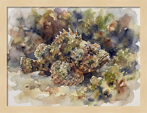 Scorpionfish In Watercolor