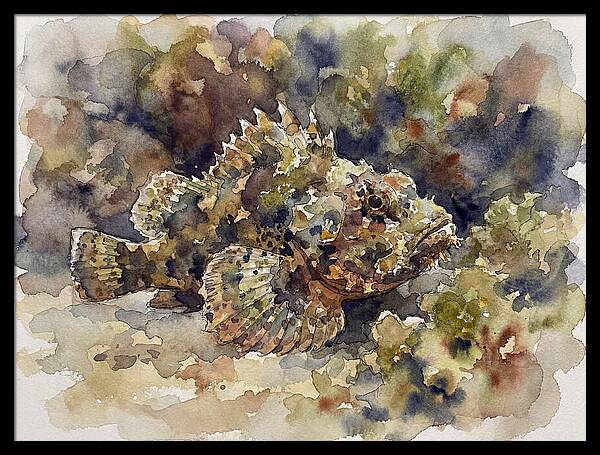 Scorpionfish In Watercolor
