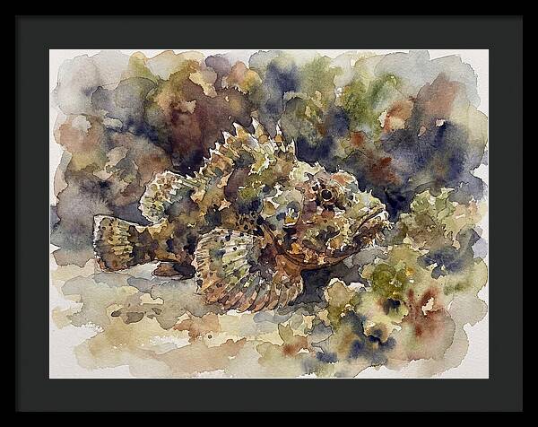 Scorpionfish In Watercolor