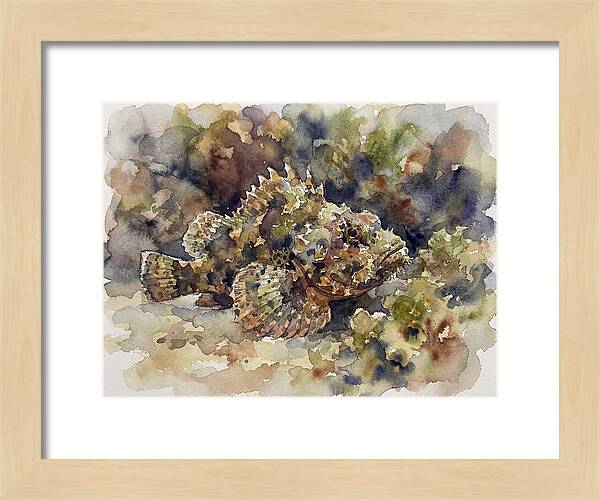 Scorpionfish In Watercolor