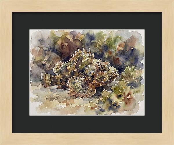 Scorpionfish In Watercolor