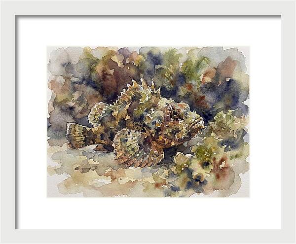 Scorpionfish In Watercolor