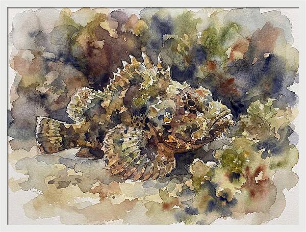 Scorpionfish In Watercolor