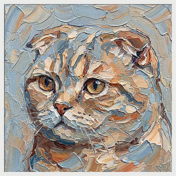 Scottish Fold Cat Portrait