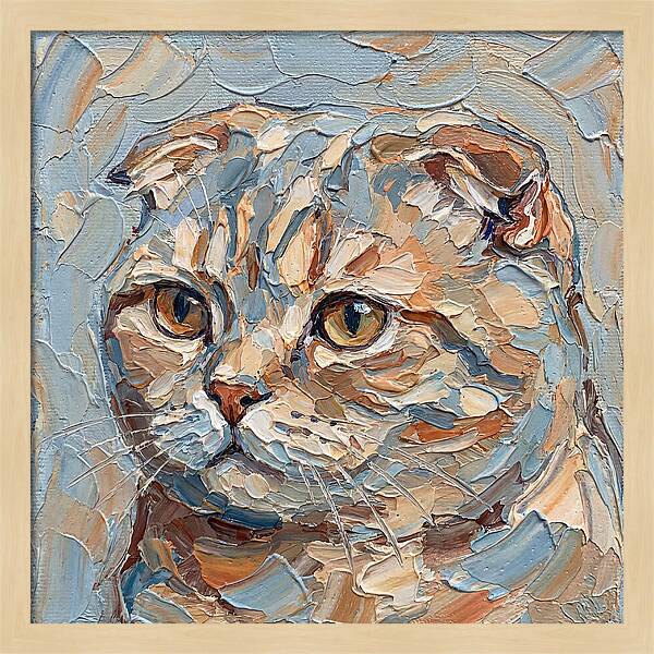 Scottish Fold Cat Portrait