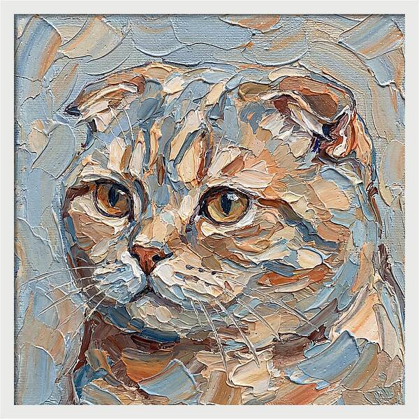 Scottish Fold Cat Portrait