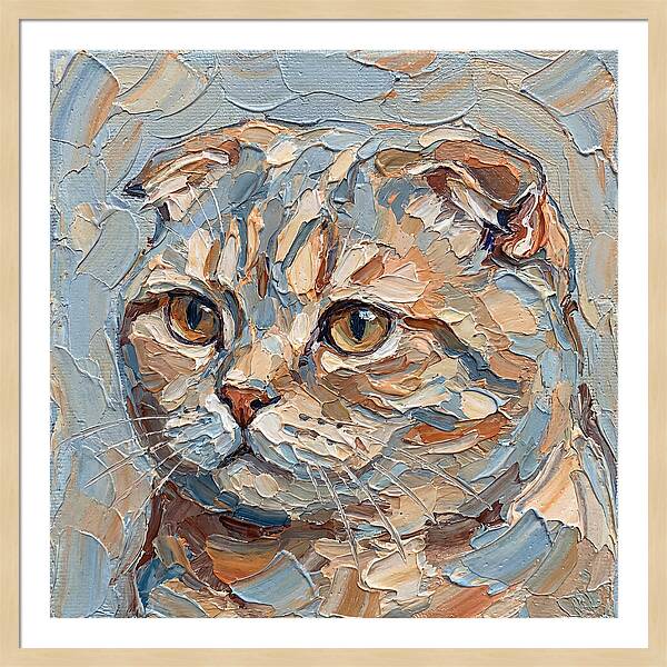 Scottish Fold Cat Portrait
