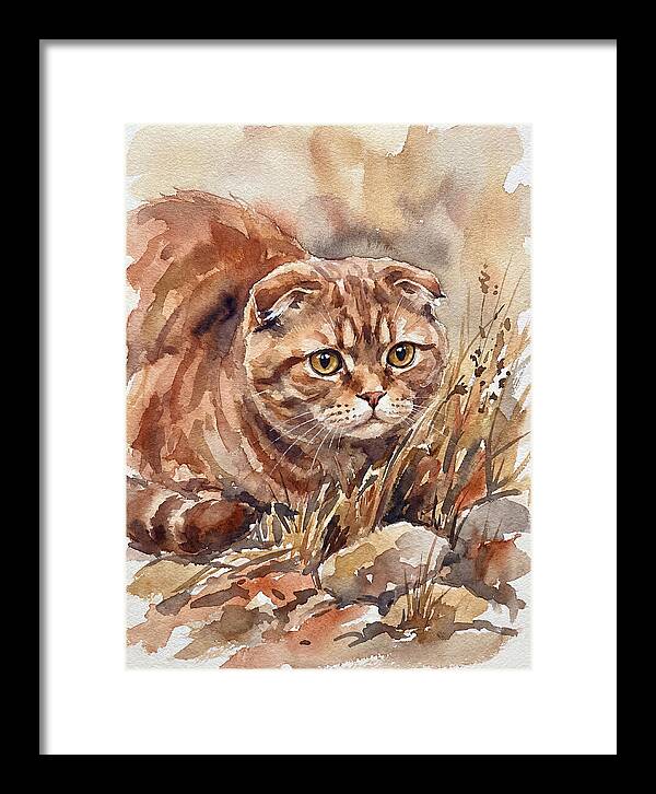 Scottish Fold In Nature