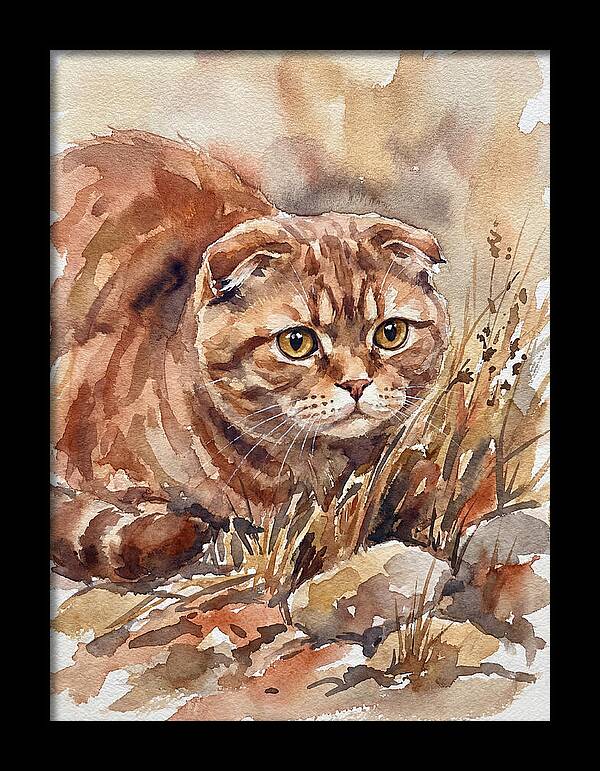 Scottish Fold In Nature