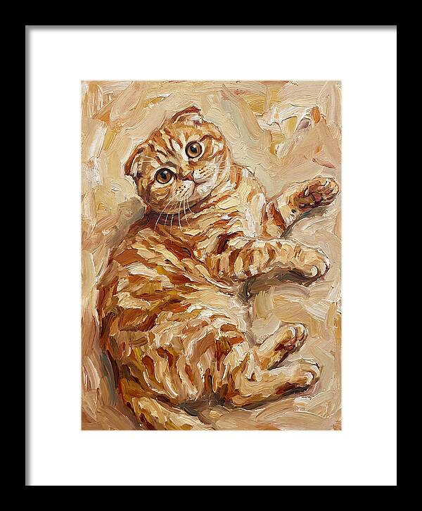Scottish Fold Serenity