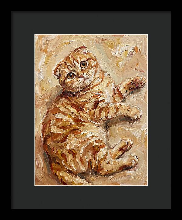 Scottish Fold Serenity