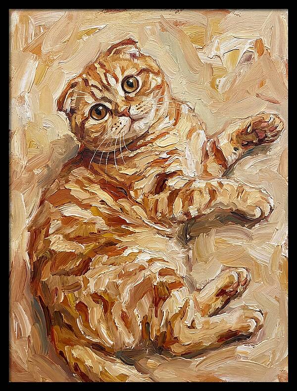 Scottish Fold Serenity
