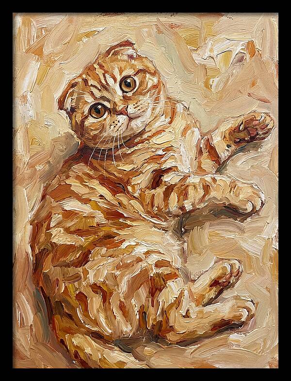 Scottish Fold Serenity